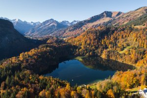 Freibergsee